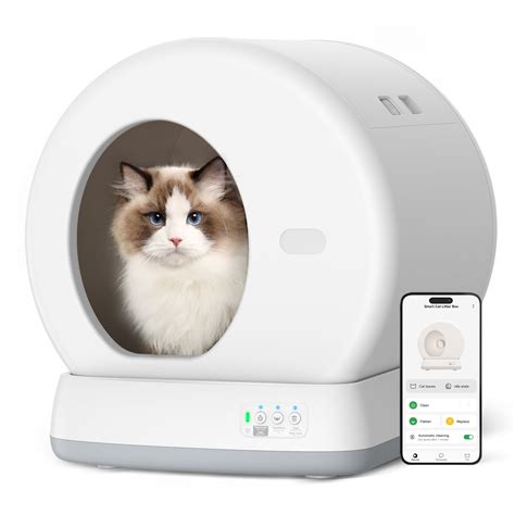 automatic litter boxes for cats.